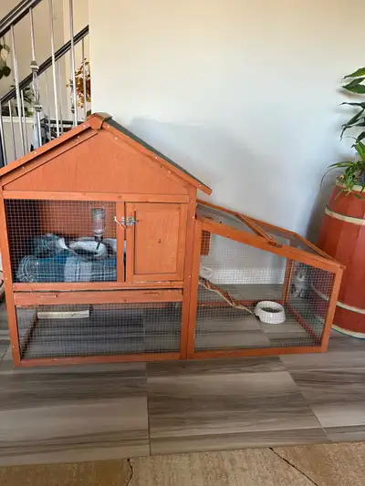 Rabbit and hutch for sale Rabbit is friendly with kids. Also got supplies such as Bag full of hay, p...