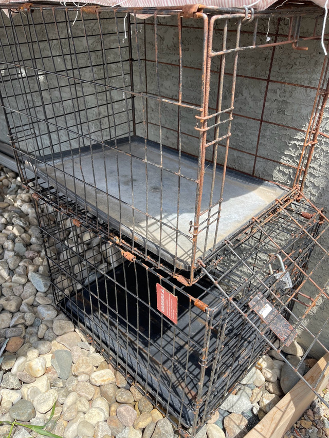 dog cage in Accessories in Regina - Image 3