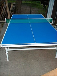 Elite Tennis Table
