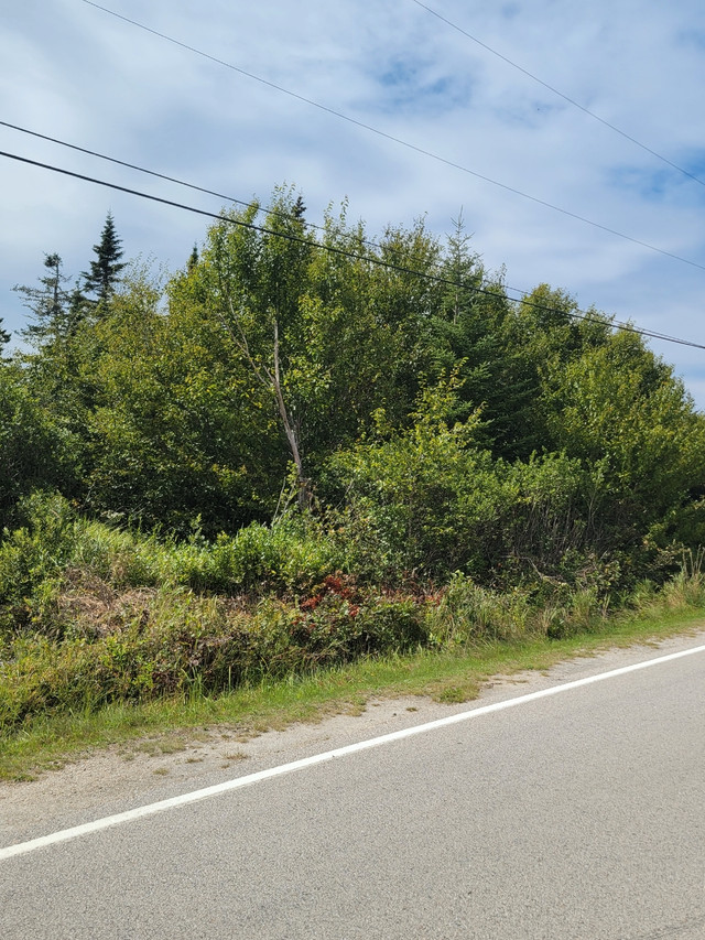 Land for sale in west pubnico Land for Sale Yarmouth Kijiji