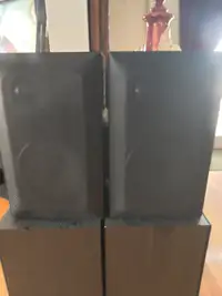 Braun L8070 HE bookshelf speakers