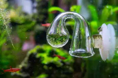 CO2 indicator for Aquariums -made of glass -suction cup to stick on the side of aquarium -used for C...