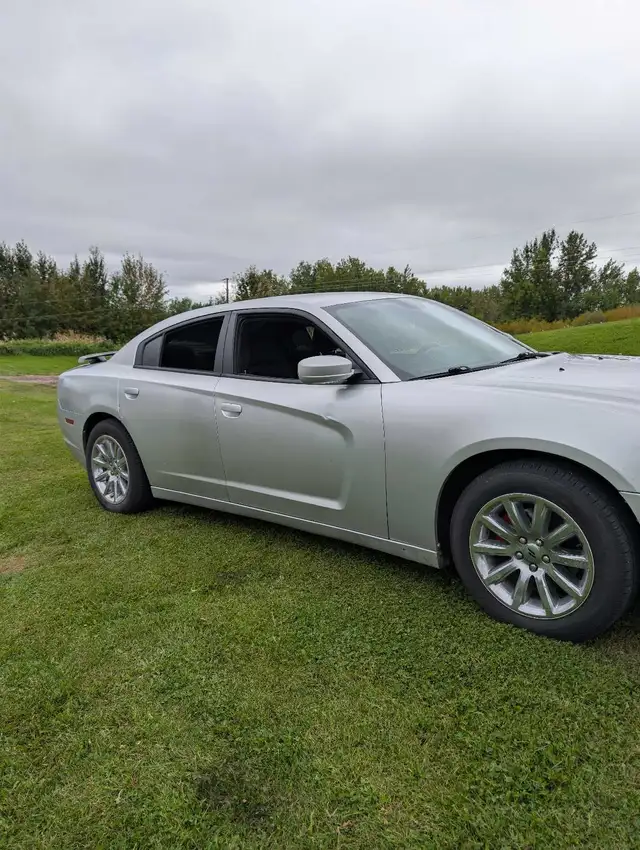 Dodge Charger558375872821340164