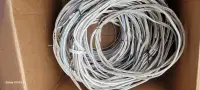 Electrical wire 10,12,14