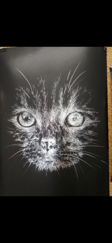 Art classes. First trial class $20, View more