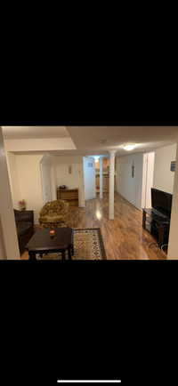 IMMEDIATELY AVAILABLE: 2 Bedroom 1 Bath Apartment Fully Furnishe