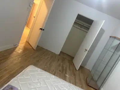 chambre à louer dans 5 1/2 près de l'université de Montréal et à proximité du centre-ville et du max...