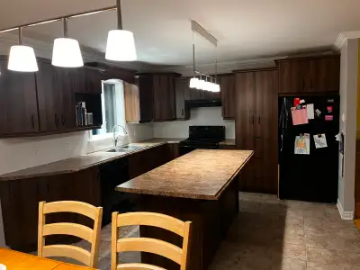 USED KITCHEN CABINETS FOR SALE – Full Set Located in Cantley, Mont-Joël sector (J8V 4B9) Selling a c...