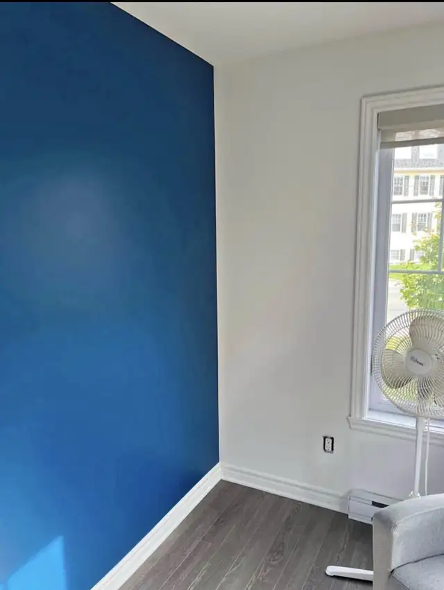 Available Painter64656286896003120