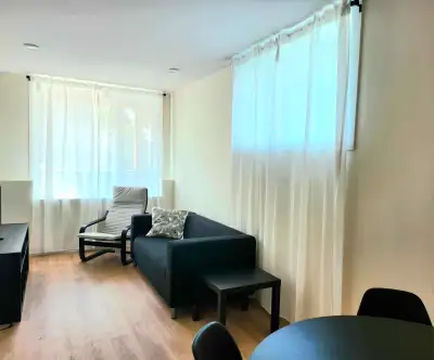 Furnished 2 bed 1 bath apartment, bright, quiet, near downtown