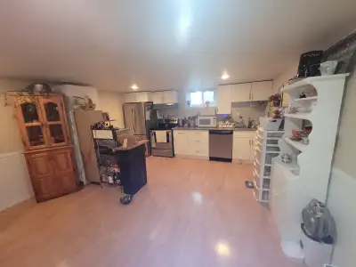 FEMALE ROOMMATE WANTED