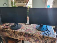 Two LG 24 inch computer screens. 