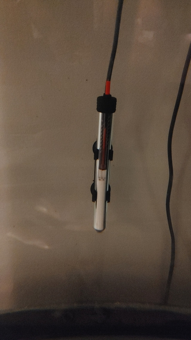 Some low Watts Heater For Aquarium Fish Tank For Sale in Fish for Rehoming in Ottawa