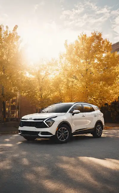 Cambridge Kitchener Waterloo to Toronto Pearson Airport , View more