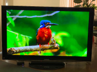 Panasonic Plasma 48” flat screen TV Reduced to $150