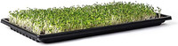 Micro Greens Trays, Lights, Seeds and Others - New & Gently Used