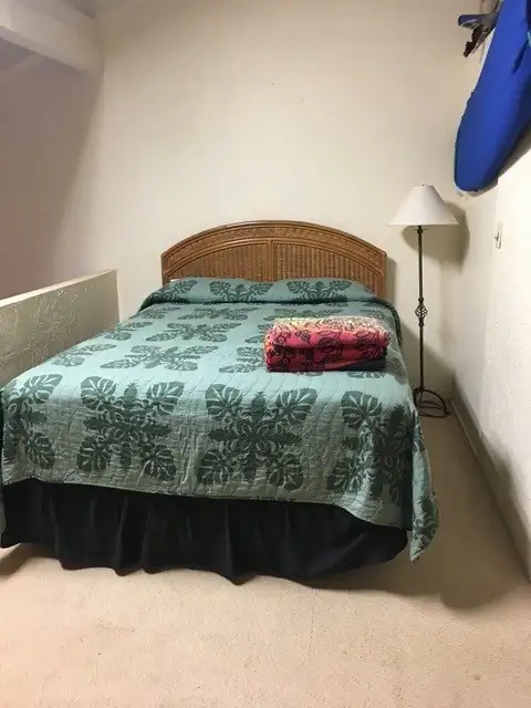 Maui Oceanfront Jan 31 to Feb 14 Super Bargain in Hawaii in Canada - Image 7