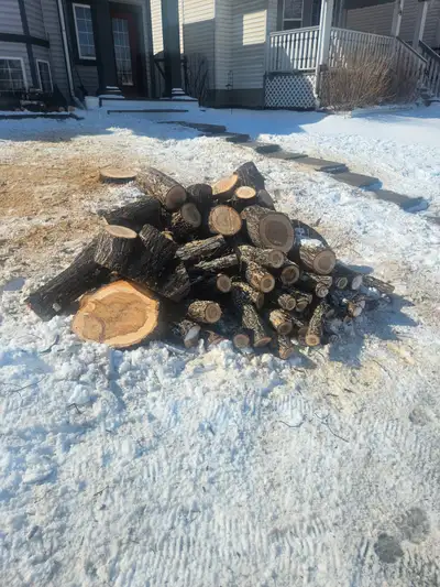 Free firewood, View more