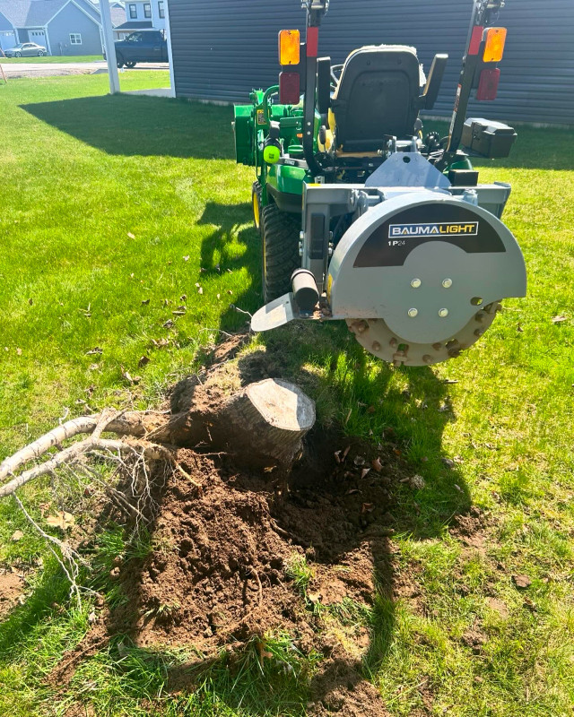 Stump Grinding Services Annapolis Valley in Lawn, Tree Maintenance & Eavestrough in Annapolis Valley