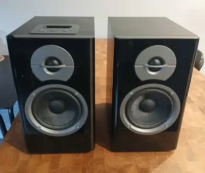 Great sounding speakers. Perfect if you still use an Ipod. It has a docking station for it. I used t...