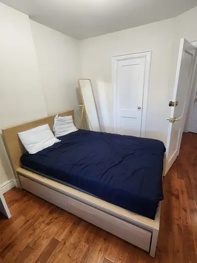 Quiet female-only room in the house near subway and High Park, View more