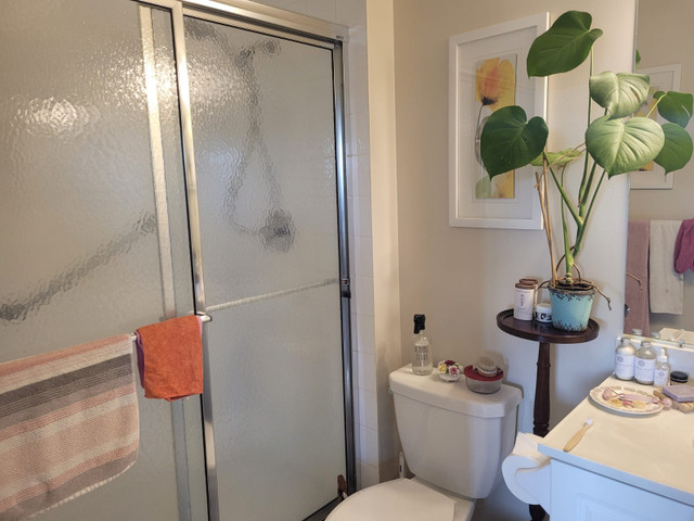 LUST FOR DUST CLEANING SERVICES  - Hamilton in Cleaners & Cleaning in Hamilton - Image 3