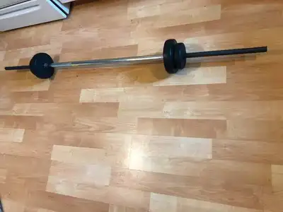 Fitness exercise equipment / lots!Barbell with plates $95, View more