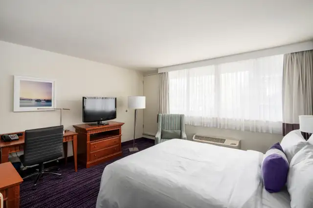 Furnished and equipped studio62864376360706123