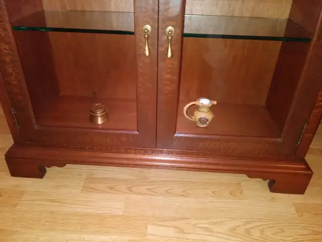 Display cabinet (Markham rd. south of 401) in Hutches & Display Cabinets in City of Toronto - Image 6