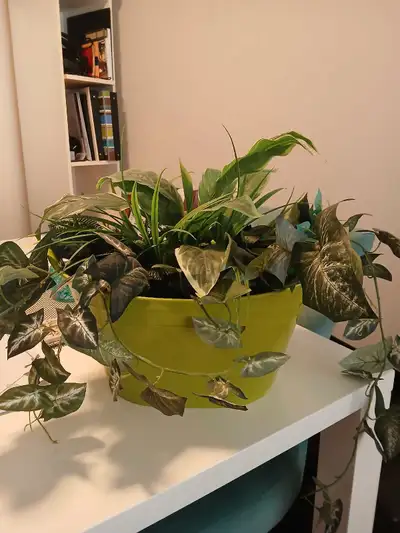 Indoor/ Outdoor Artificial Plant in Container, View more