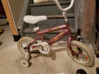 Toddler's bicycle