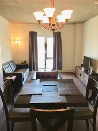 Nice fully furnished downtown Montreal condo