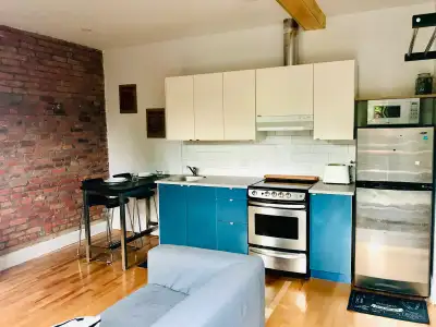 Appartement très agréable, spacieux et lumineux, entièrement rénové, tout inclus: -air climatisé (un...