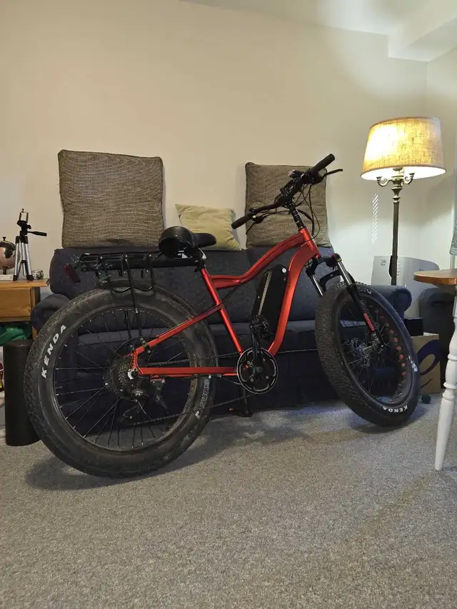 E ASSIST BIKE in eBike in Kingston - Image 4