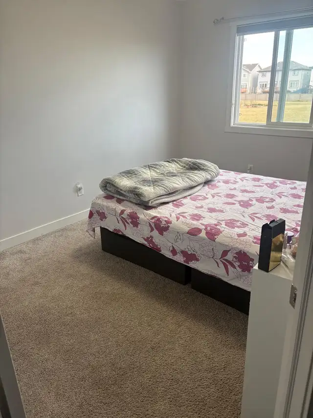 Room for Rent in Laurel605035519217520644
