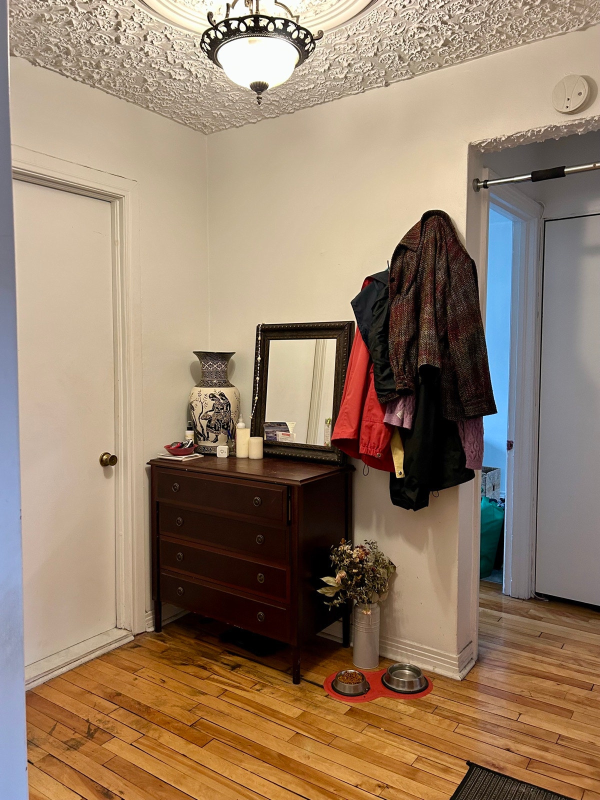 7333 Av. Papineau — photo 3