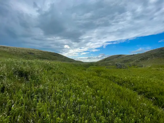 Acreage For Sale63660966546819124