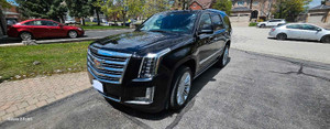 2020 Cadillac Escalade Platinum 