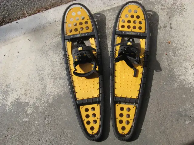Snowshoes
