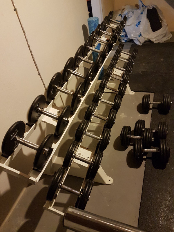 1570lbs dumbbell set with rack Exercise Equipment Kitchener