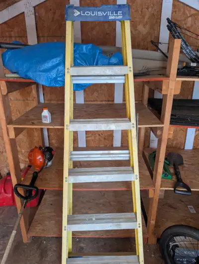 Ladder fiberglass Louisville 6', View more