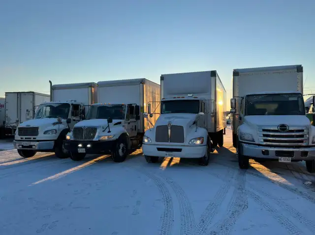 Movers, Raptor Movers, Packers, Piano, Moving ☎️ 647905825963234859627011123