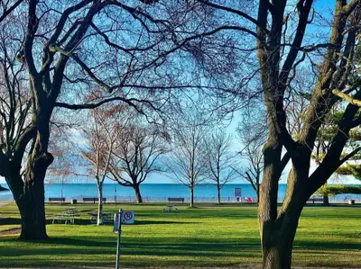 Welcome to this newly renovated beachfront basement apartment, featuring modern amenities and a cozy...
