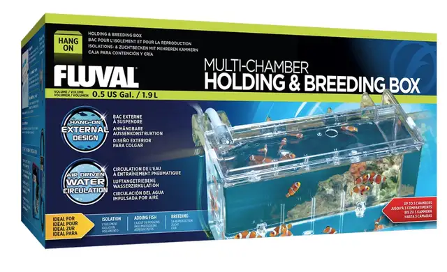 Fluval 3-Chambered Breeding Box in Fish for Rehoming in London - Image 2