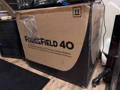 GOLDEN EAR Forcefield 40 Powered ultra audiophile 10” Subwoofer Made by ex Definitive Technology eng...