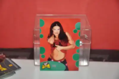 2001 WWF The Ultimate Diva Collection Fleer # 26 Lita Style rook, View more
