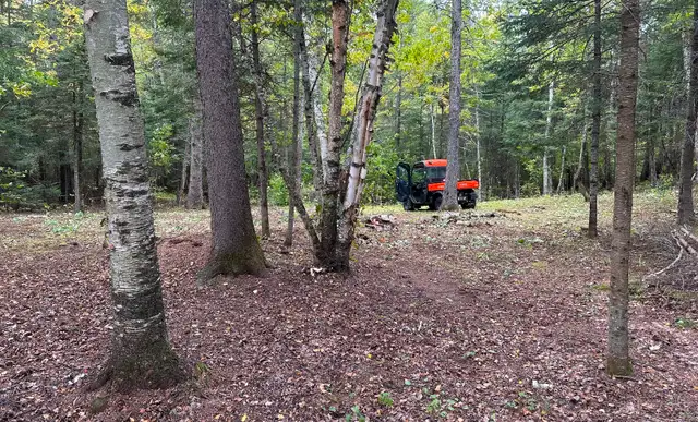 292 acres, 5km waterfront, 100m beach, Kenora, Lake of the Woods62864750314753122