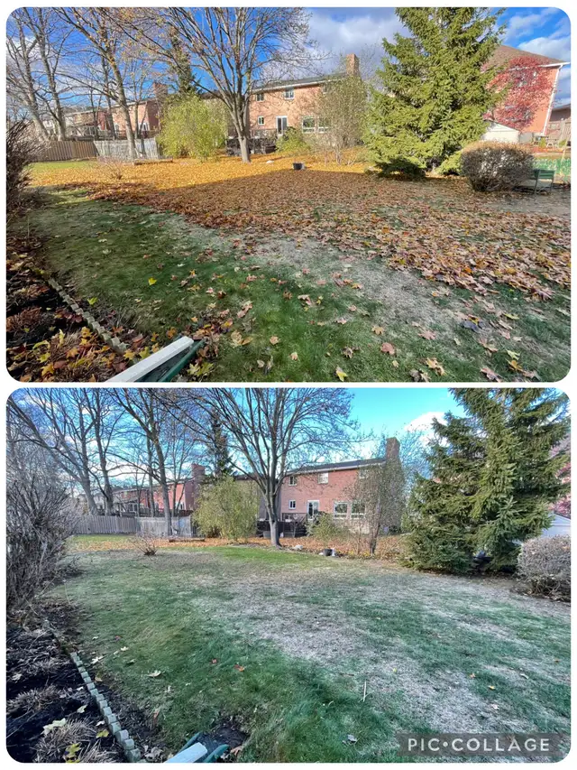 Leaf Removal601409090340136963