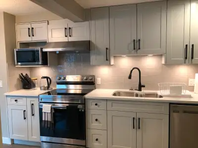 Beautifully renovated move-in ready 1BR 1Ba unit - June 28