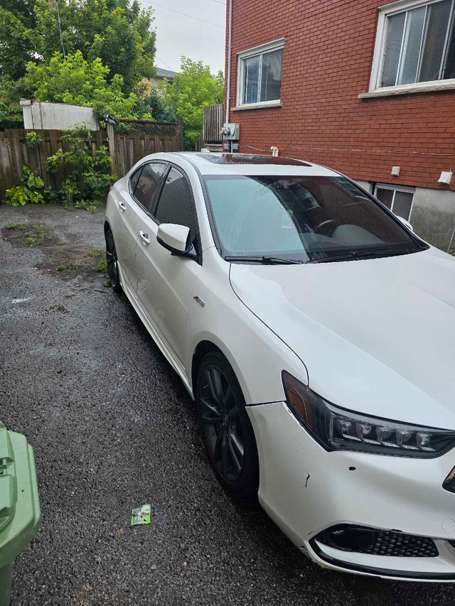 For Sale: 2019 Acura TLX A-Spec (FWD) – White in Cars & Trucks in Ottawa - Image 3